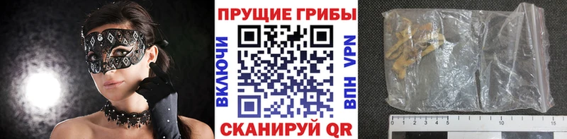 omg ССЫЛКА  цены наркотик  Горбатов  Галлюциногенные грибы Psilocybe 